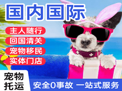 洛阳北郊航空物流国际宠物托运 【国
